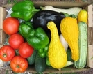 Community Supported Agriculture