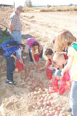 Ag in the Classroom, Farm to School, Ag Days