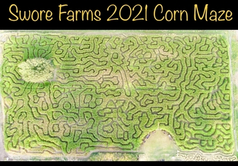 Corn Maze, Swore Farms